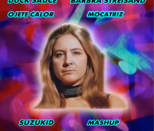 Duck Sauce Vs Ojete Calor - Barbra Mocatriz Streisand (Suzukid Mashup)